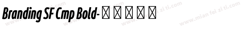 Branding SF Cmp Bold字体转换
